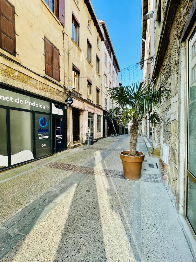 L'Appartement Du Temple A Vienne Exterior foto